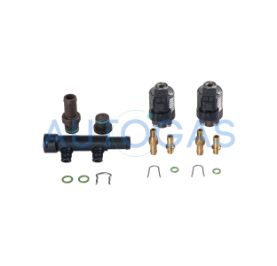Форсунки STAG W031 BFC 2 цил., с жиклерами D1,5 мм, штуцерами в коллектор и распределителем