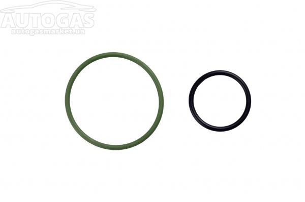 картинка Кольцо уплотнительное резиновое (набор 2 шт) фильтроэлемента бумажного для редуктора Tomasetto AT07, AT09 в интернет-магазине AutogasMarket