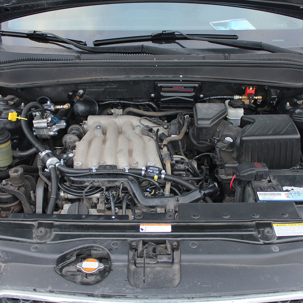 картинка ГБО: электроника STAG QMAX BASIC, 2 редуктора Tomasetto Antartic Super (136-340 л.с.), форсунки STAG W03, фильтр, мульт. AT02, ВЗУ, бал. тор. 54 л в интернет-магазине AutogasMarket