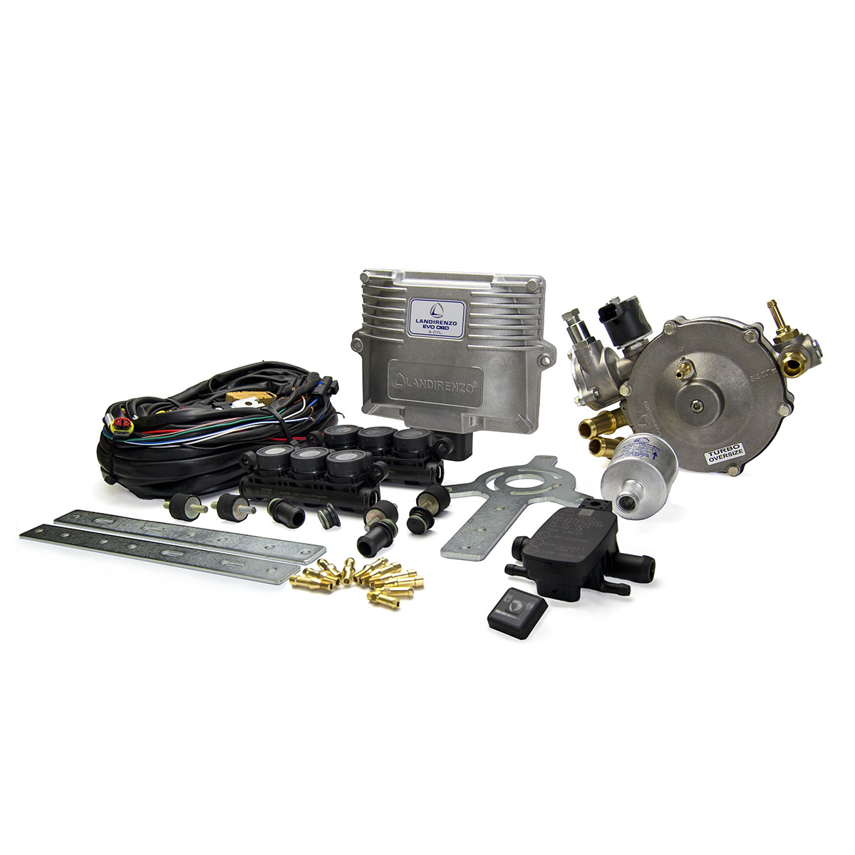 картинка Комплект  Landi Renzo 6ц.  пропан-бутан Omegas EVO OBD, ред. LI10 TURBO OVERSIZE, c форсунками EVO в интернет-магазине AutogasMarket