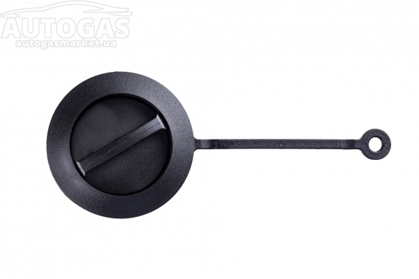 картинка Крышка наружного ВЗУ (пропан-бутан), Tomasetto в интернет-магазине AutogasMarket