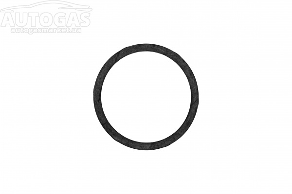 картинка Кольцо уплотнительное резиновое мультиклапана АТ02 на горловину баллона в интернет-магазине AutogasMarket