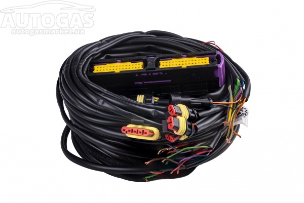 картинка Проводка к блоку управления STAG-300 QMAX BASIC 6 цил, разъемы: тип Valtek, PS-04 в интернет-магазине AutogasMarket