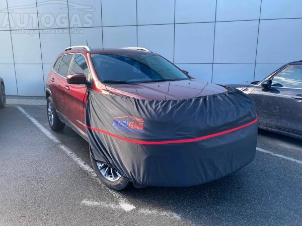 картинка Накидка на переднюю часть авто, Profigas - 2 лого в интернет-магазине AutogasMarket