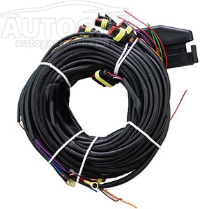 картинка Проводка к блоку управления STAG-300 QMAX BASIC 6 цил, разъемы: тип Valtek, PS-04 в интернет-магазине AutogasMarket