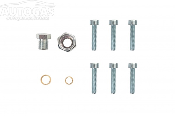 картинка Набор монтажный для мультиклапана Tomasetto (старого образца) в интернет-магазине AutogasMarket