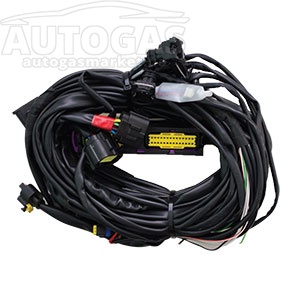 картинка Проводка к блоку управления Landi Renzo Omegas, 5-6-8 цил. в интернет-магазине AutogasMarket