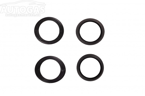 картинка Кольцо декоративное для круглого переключателя Landi Renzo Premium (к-кт 4 шт) в интернет-магазине AutogasMarket